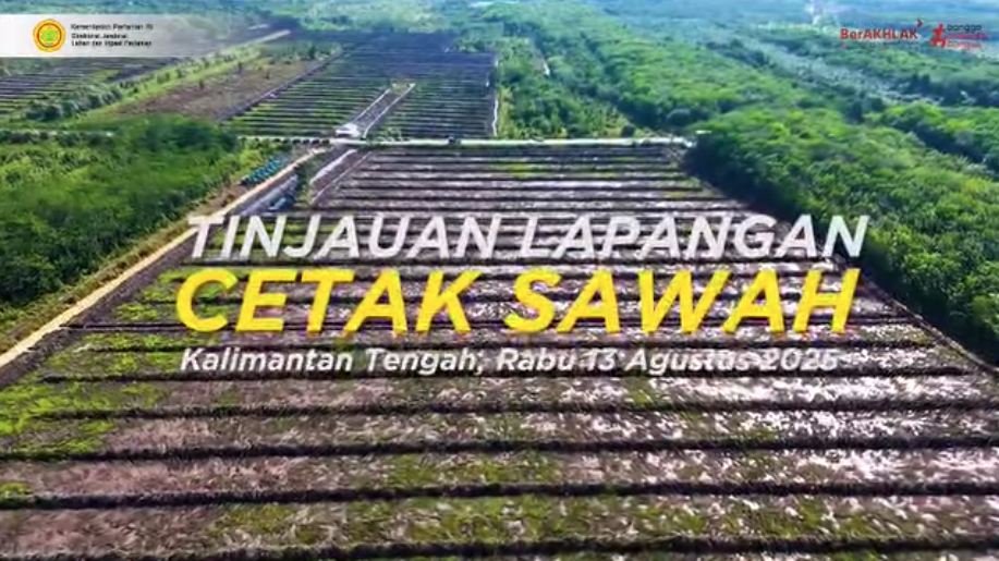 Gubernur Kalteng Tinjau Lokasi Cetak Sawah Rakyat di Pulang Pisau